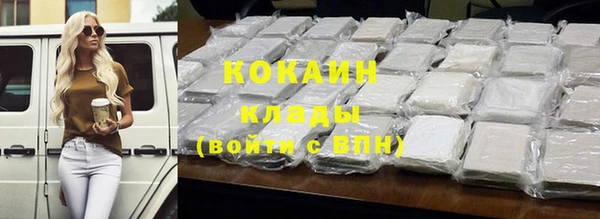 шишки Абаза