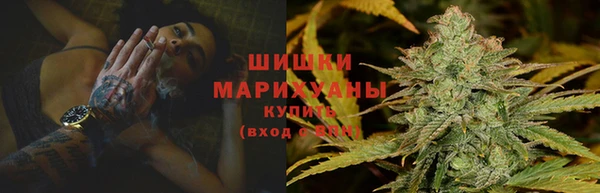 шишки Абаза