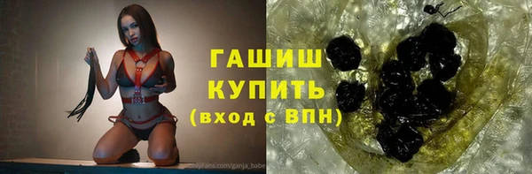 шишки Абаза