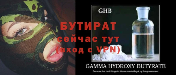 шишки Абаза