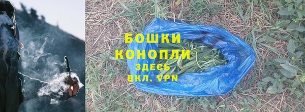 шишки Абаза