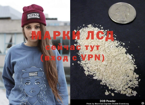 шишки Абаза