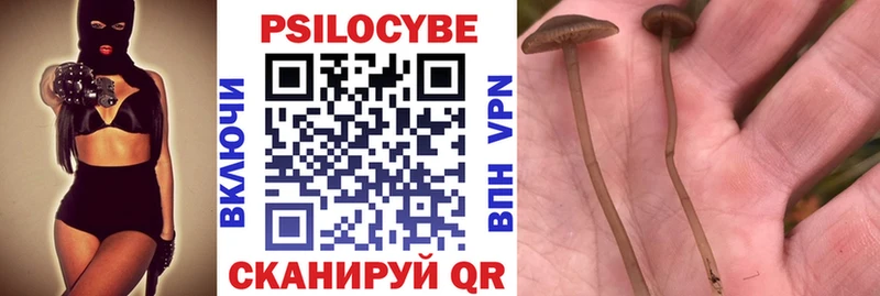 Галлюциногенные грибы GOLDEN TEACHER Задонск